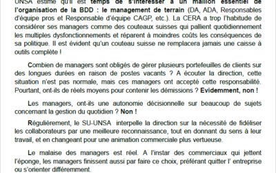 Managers de la BDD = couteaux suisses?